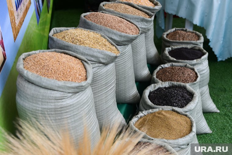 Идеальный гарнир: почему стоит начать есть киноа — что нужно знать о продукте