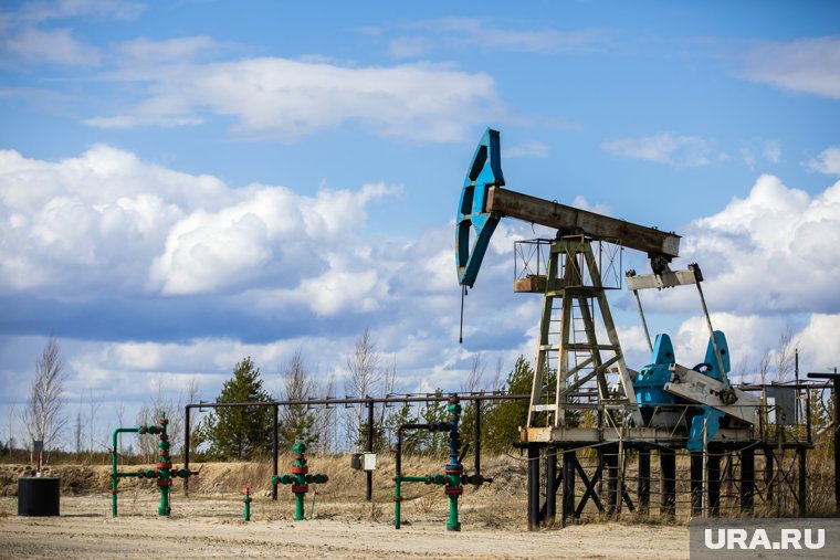 Индия ответила на критику Запада за покупку российской нефти