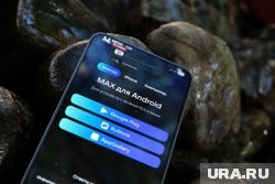 Тюменских чиновников не заставляют переходить на мессенджер Max