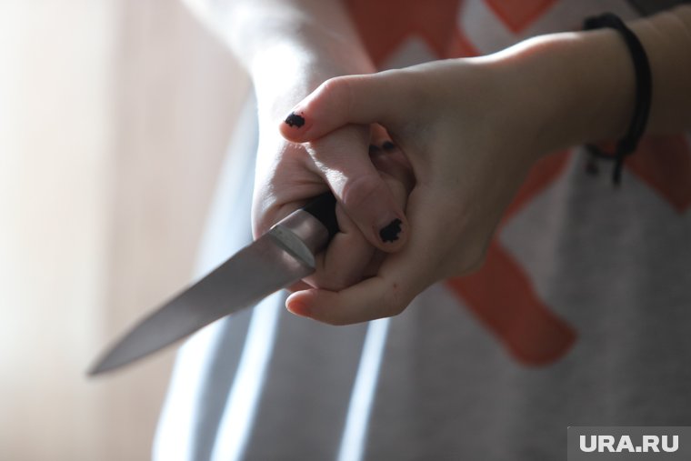 В ЯНАО женщина получила срок за удар ножом в живот сожителя