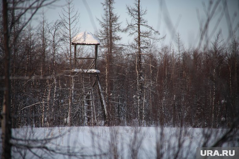 В Салехарде оценили реставрацию советского лагеря заключенных 501-й стройки