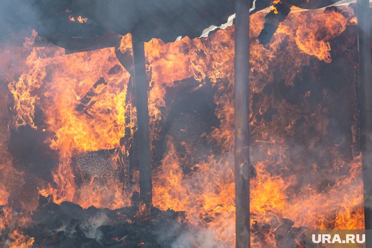 Пламя лесных пожаров подобралось вплотную к городу Бурса в Турции. Видео