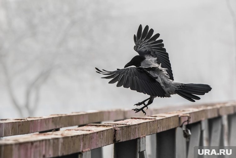 Какие праздники отмечают 11 октября 2025: что можно и нельзя делать