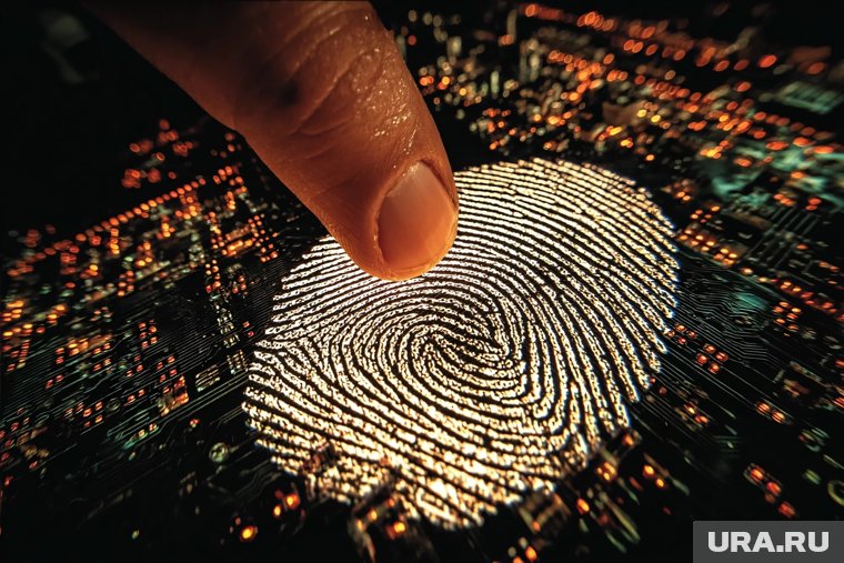 В российских аэропортах до конца 2025 года протестируют биометрию