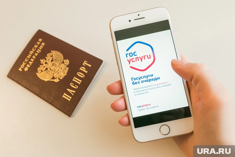 Россиянам хотят дать право ежегодно оценивать чиновников через «Госуслуги»