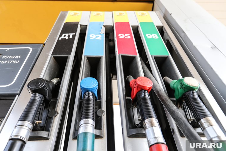 За полгода в Курганской области сильно подорожал бензин и топливо. Инфографика