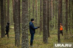 «Цель от нас ускользала»: журналист URA.RU искала потерявшегося грибника в курганском лесу