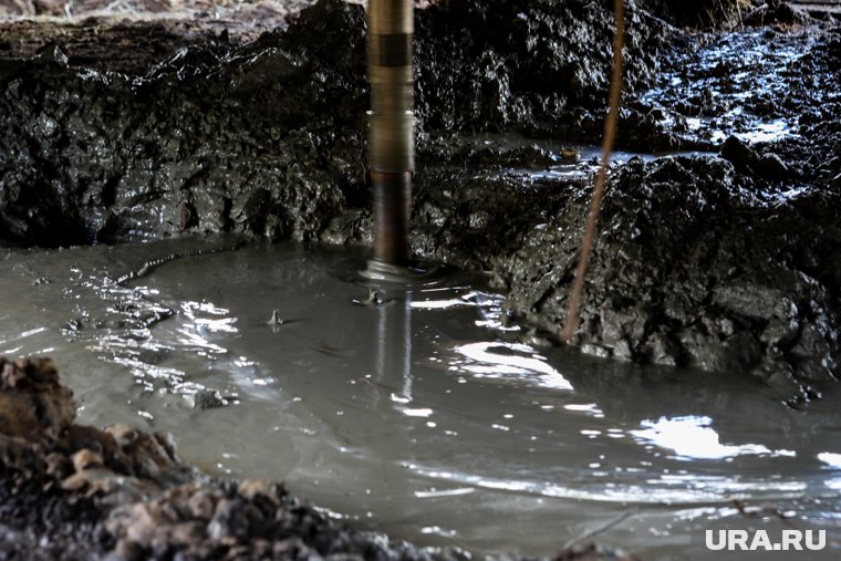 Московская компания будет добывать в Кургане редкоземельные металлы. Инсайд