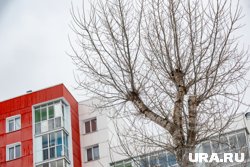 Аналитики раскрыли, насколько выгоднее снимать квартиру в Перми, чем платить ипотеку