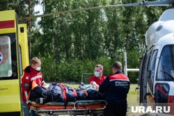 Два жителя ХМАО пострадали при столкновении иномарки с диким животным