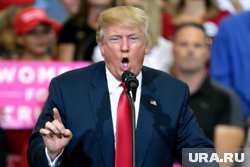 NYT: чиновники в США в шоке после слов Трампа об «оккупации» Газы