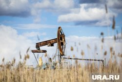 Советник Трампа призвал Индию прекратить закупки нефти в России