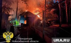 Пожар в новосибирском зоопарке лишил жизни животных, которых любили тысячи горожан: что известно о трагедии