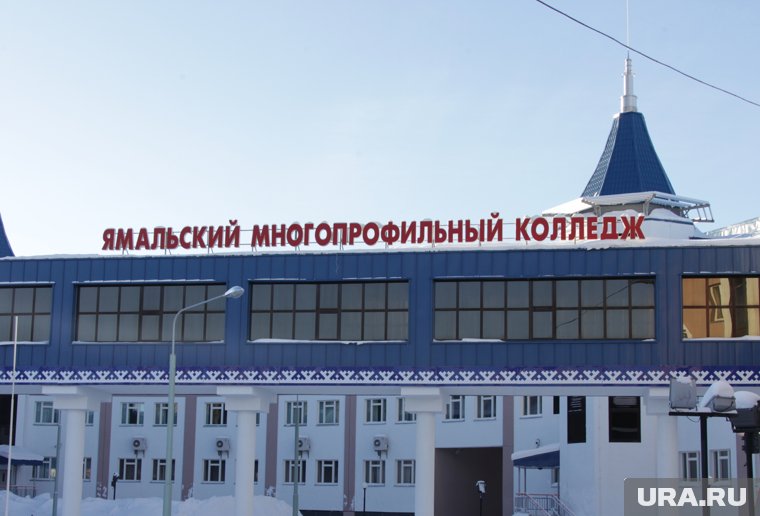 Хотят стать самостоятельными: большинство школьников ЯНАО выбирают поступать в колледжи