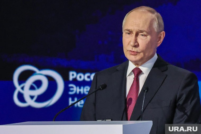 Путину предложили разработать Экологический кодекс РФ