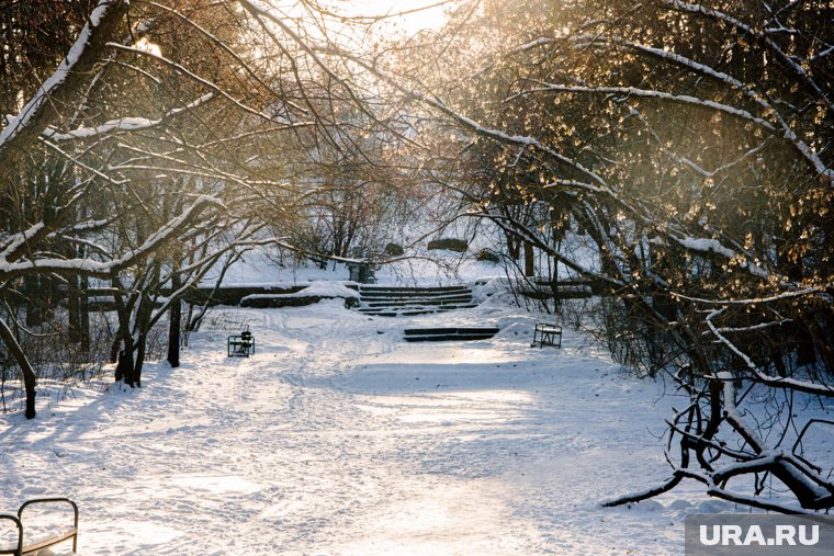 Землю накроет магнитная буря 3 февраля 2025: какой силы удар ждать