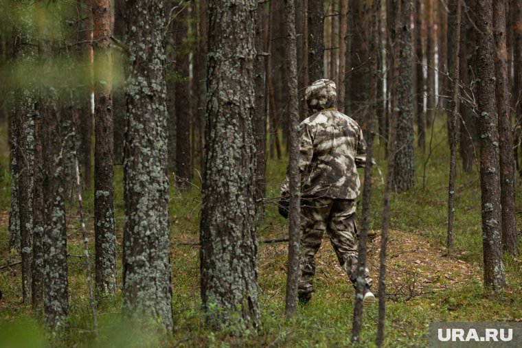 Полиция ХМАО ищет пенсионера, пропавшего в лесу два дня назад. Фото
