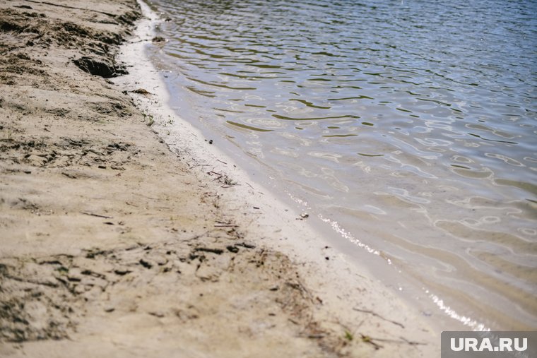 В АТОР отреагировали на аренду мест на пляжах Сочи