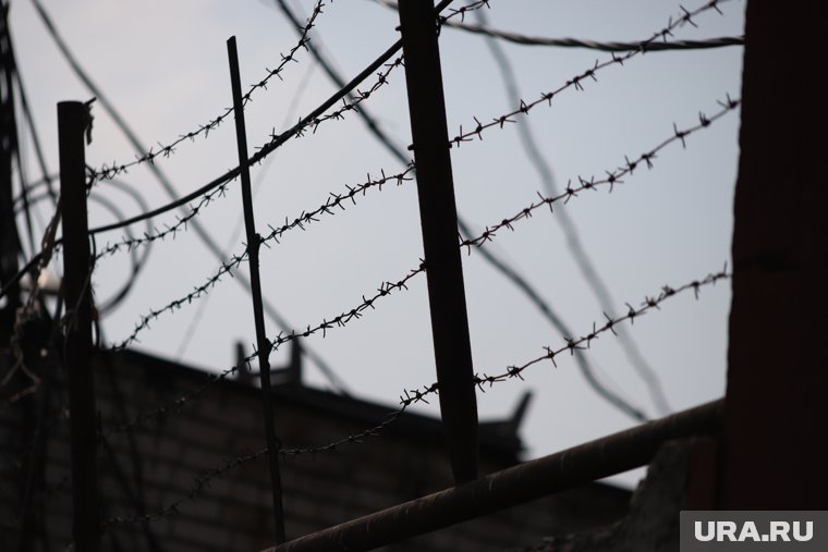 Курганских зеков массово проверяют по делу об освобождении из колоний за деньги. Инсайд