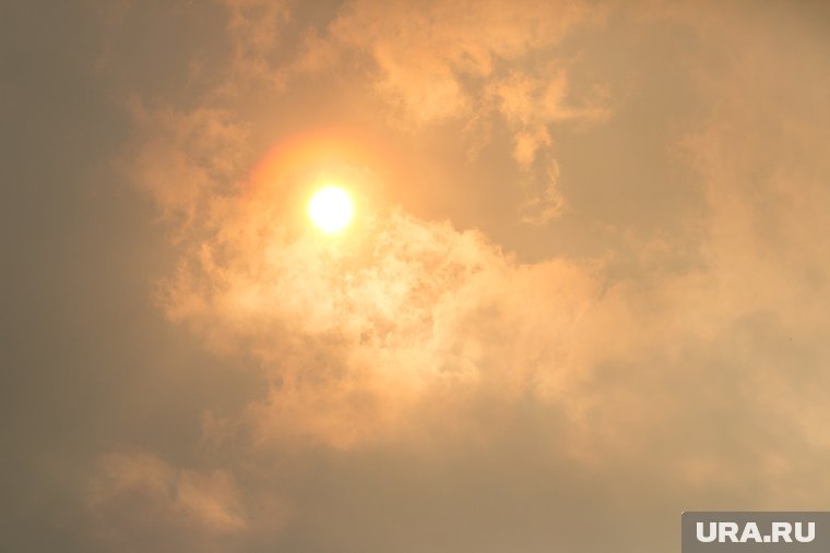 Жертвоприношения и обсерватория: чем известен курганский Савин, на котором пройдет фестиваль