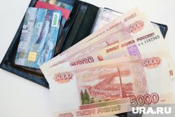 В ГД предложат повысить выплаты остатка маткапитала до 20 тысяч рублей