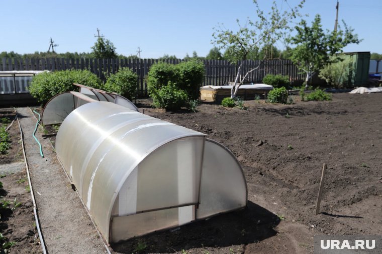 Как подготовить теплицу к сезону 2026: советы садовода
