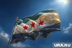 Лидер Сирии Аш-Шараа хочет обсудить с Путиным сотрудничество двух стран