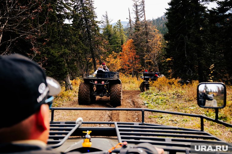Названа новая версия таинственной пропажи семьи Усольцевых в тайге: что известно на 10 октября