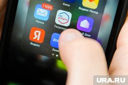 В Кургане женщина оформила кредиты на знакомых через Госуслуги, украв их телефоны
