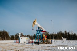 Bloomberg: Индия потеряет миллиарды, отказавшись от российской нефти
