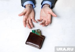 Россиянам раскрыли причину вывода из оборота карт Visa и Mastercard