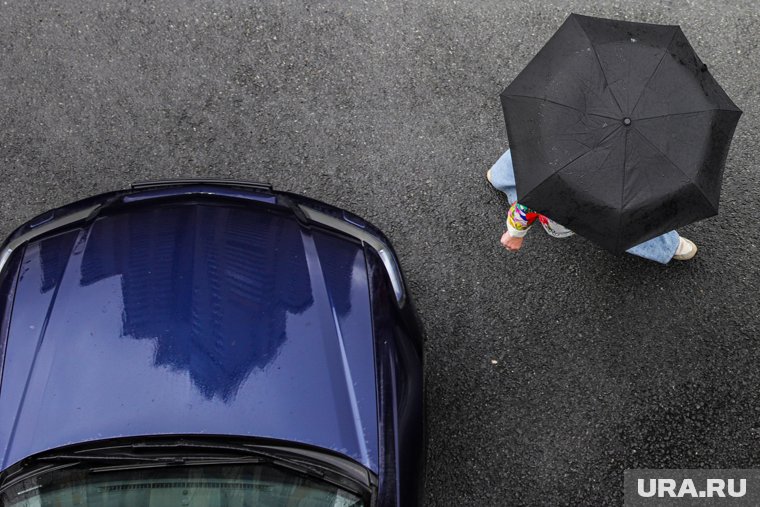 Округ накроют дожди после солнечных дней: какой будет погода в ЯНАО в середине августа. Скрин