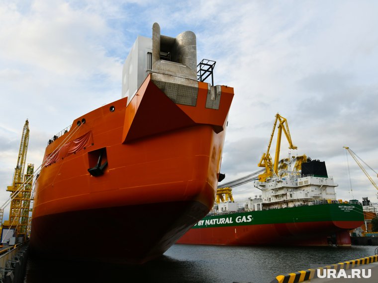 Катастрофа на Черном море рассорила российские элиты