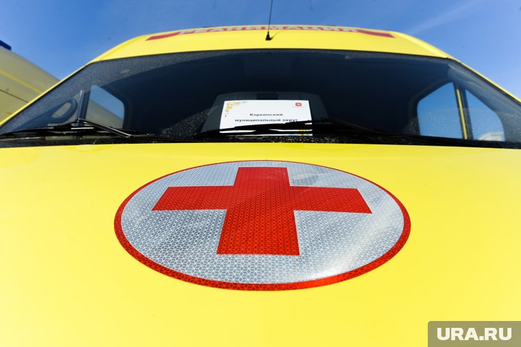 Смертельная чача: как суррогатный алкоголь унес жизни туристов в Краснодарском крае