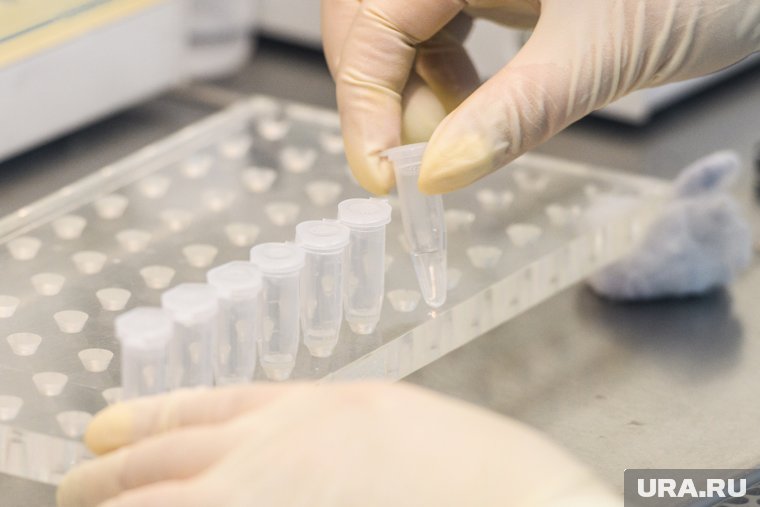 Врач перечислил препараты, приводящие к образованию тромбов