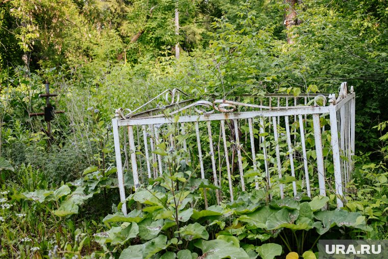 «По отцу и дочери протоптались»: на челябинском кладбище неизвестные разгромили могилы. Видео