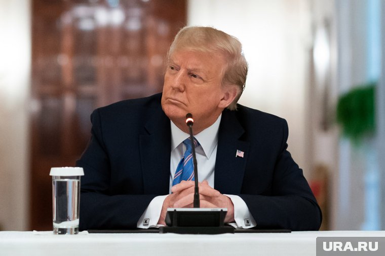 Трамп дал 10 дней, чтобы решить конфликт на Украине