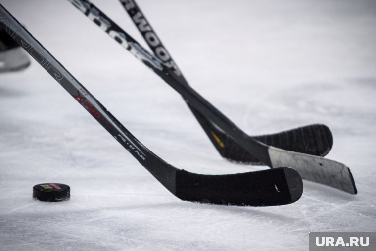 От фуд-блогов до хоккея: чем увлекаются мэры ХМАО вне работы. Видео