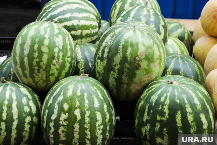 Иностранные фуры с 40 тоннами арбузов хотели незаконно проехать через Курганскую область