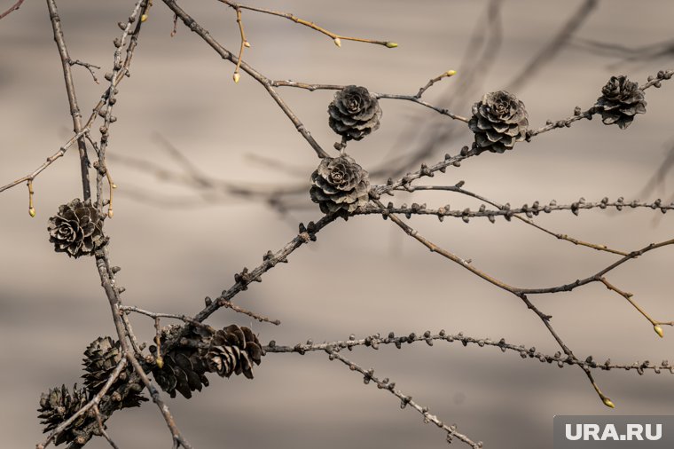 Какие праздники отмечают 1 августа 2025: что можно и нельзя делать в этот день