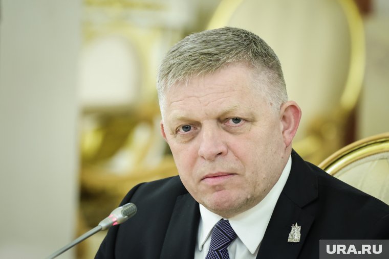 Фицо назвал Евросоюз жабой на дне колодца