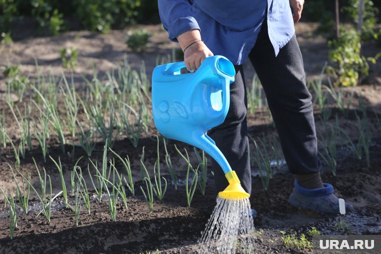 Дачников предупредили о большом штрафе за работу на участке