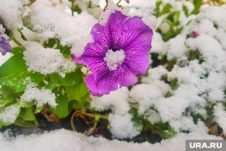 «Кофты или пуховики?»: челябинцам рассказали, как долго в регионе задержится снег