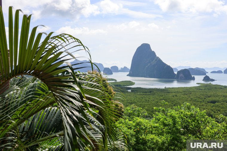 Кто покинул «Звезды в джунглях» в 11 выпуске: шокирующий поворот