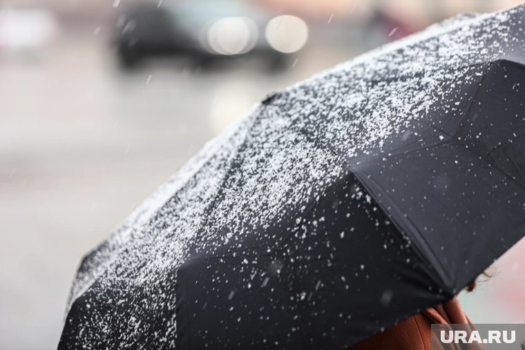 Небольшой снег и дождь: какая погода будет в Кургане и Шадринске 14 октября