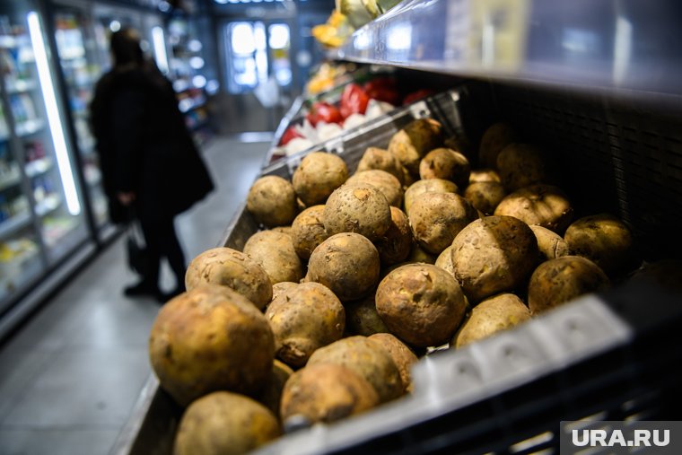 Экономист рассказал, когда в России подешевеет картофель