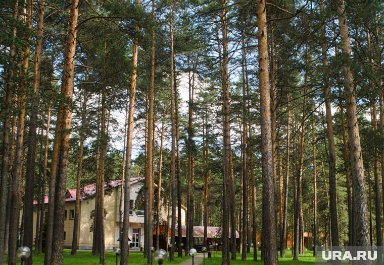 Рядом с санаторием пермского олигарха продают дом за 126 млн рублей