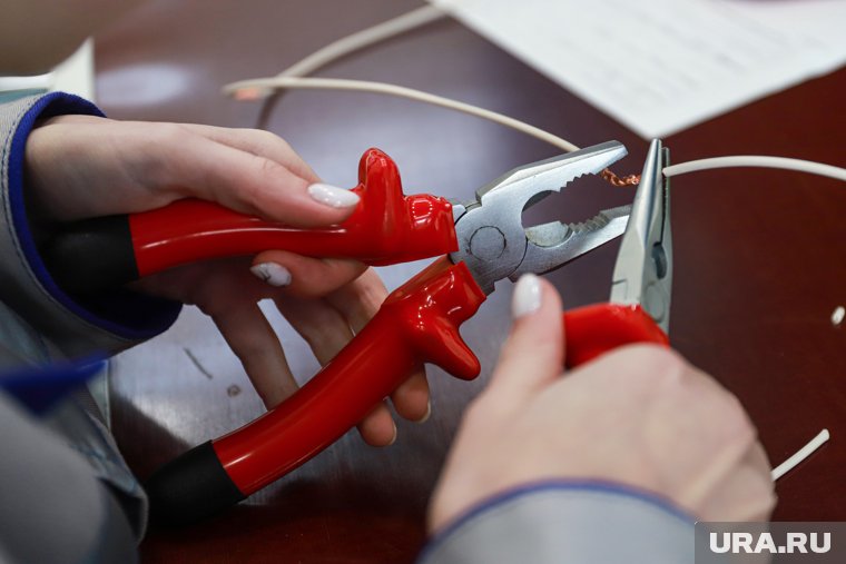 Энергетики добились блокировки десятков сайтов, учивших воровать электричество