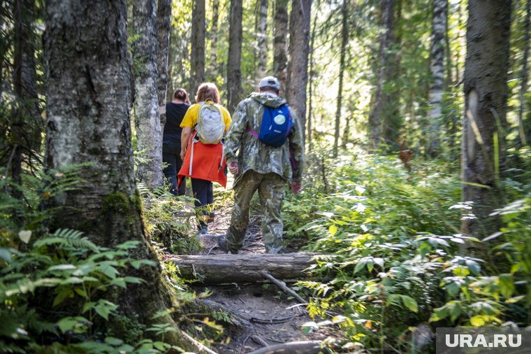 На Курилах пропали туристы