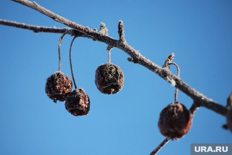 В Кургане побит новый температурный рекорд за последние 70 лет